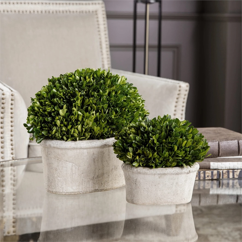 Uttermost 2-Piece Ceramic Oval Dome Preserved Boxwood Set in Mossy Green