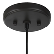 Uttermost Campester 1-Light Metal and Watered Glass Mini Pendant in Black/Clear
