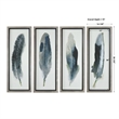 Uttermost Feathered Beauty Contemporary Fir Wood Prints - Multi-Color (Set of 4)