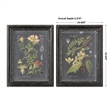 Uttermost Midnight Botanicals MDF Wood Wall Art in Multi-Color (Set of 2)