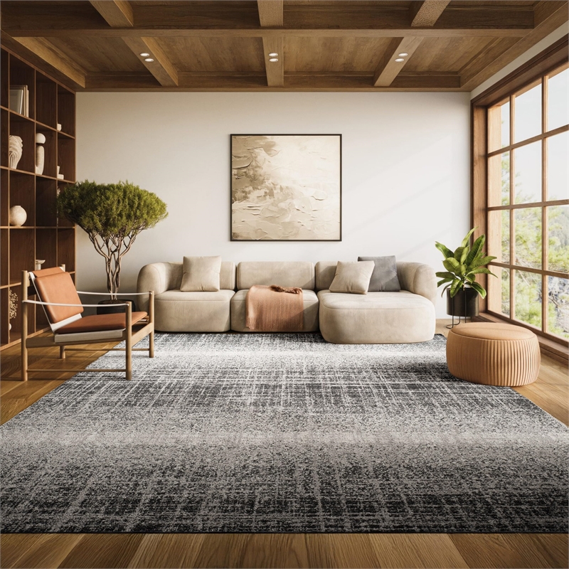 Safavieh Adirondack 8' X 10' Power Loomed Rug in Silver and Black