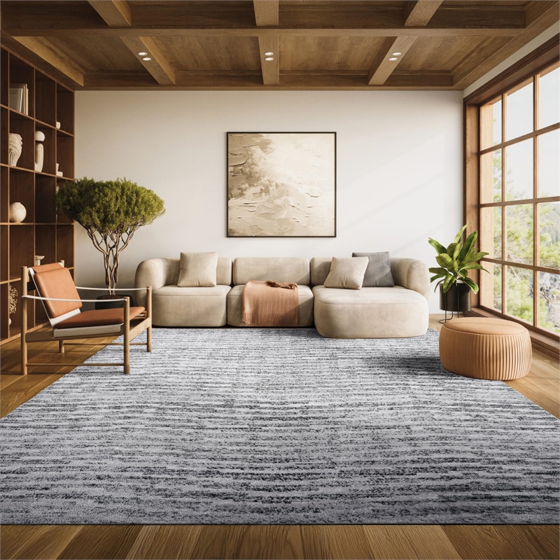 Safavieh Adirondack 8' X 10' Power Loomed Rug in Black and Silver