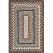 Safavieh Braided 2' X 3' Hand Woven Polypropylene Rug in Brown