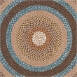 Safavieh Braided 4' Round Hand Woven Polypropylene Rug in Brown