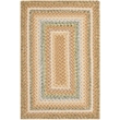 Safavieh Braided 2' X 3' Hand Woven Polypropylene Rug in Tan