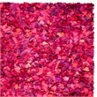 Safavieh Shag 6' Square Hand Woven Rug in Fuchsia