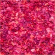 Safavieh Shag 6' Square Hand Woven Rug in Fuchsia