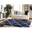 Safavieh Hudson Shag 6' X 9' Power Loomed Rug in Navy and Ivory