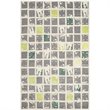 Safavieh Bella 5' X 8' Hand Tufted Wool Pile Rug in Gray and Ivory