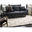 Safavieh Hudson Shag 4' X 6' Rug in Ivory and Beige