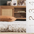 Safavieh Hudson Shag 8' X 10' Rug in Ivory and Beige