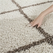 Safavieh Hudson Shag 3' X 5' Rug in Ivory and Beige