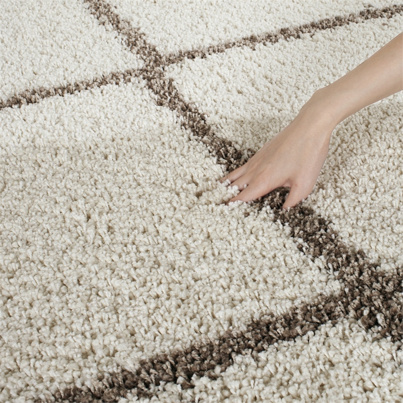 Safavieh Hudson Shag 6' X 9' Rug in Ivory and Beige