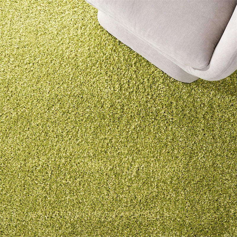 Safavieh Santa Monica Shag 4' X 6' Rug in Green