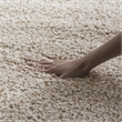 Safavieh Santa Monica Shag 4' X 6' Rug in Purple