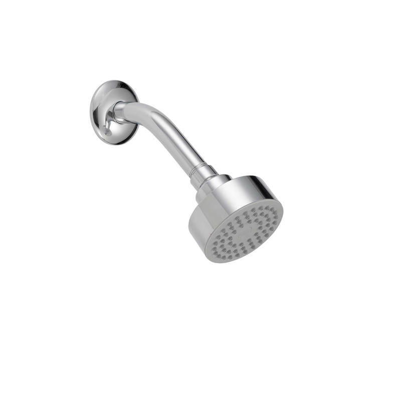 Safavieh Brighten Bathroom Shower Head in Chrome