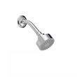 Safavieh Brighten Bathroom Shower Head in Chrome