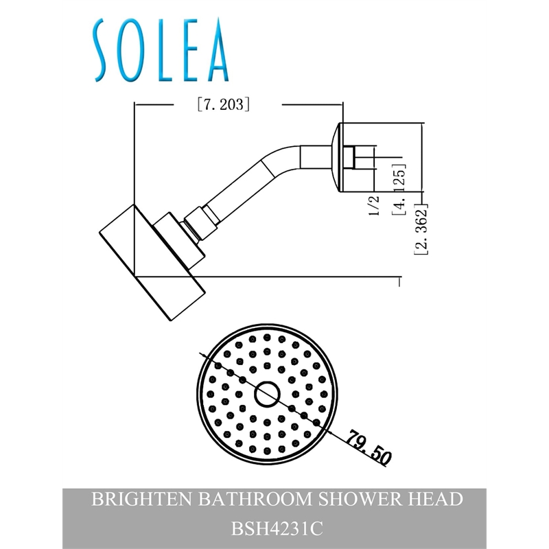 Safavieh Brighten Bathroom Shower Head in Chrome