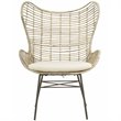 Safavieh Malia Rattan Wingback Accent Chair in White Wash and Gray