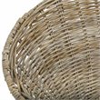 Safavieh Sierra Rattan Accent Chair in Gray Wash