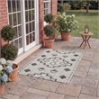 Safavieh Courtyard 2' x 3'7