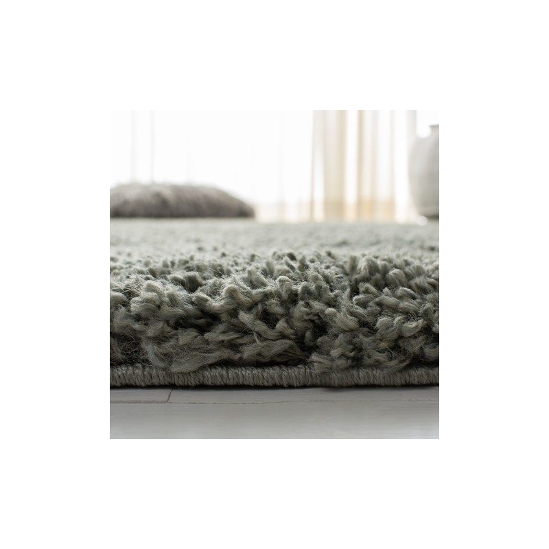 Safavieh Royal 4' x 6' Shag Rug in Green