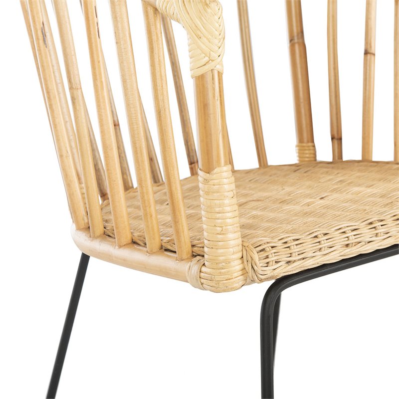 Safavieh Siena Rattan Dining Arm Chair in Natural and Black