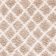 Safavieh Dallas 3' x 5' Shag Rug in Beige and Ivory