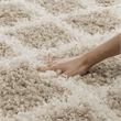 Safavieh Dallas 4' x 6' Shag Rug in Beige and Ivory