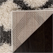 Safavieh Dallas 4' x 6' Shag Rug in Ivory and Gray