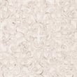 Safavieh Trace 2'3