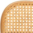 Safavieh Keiko Cane Dining Arm Chair in Natural