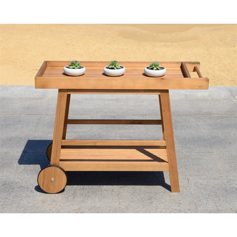 Safavieh Renzo Eucalyptus Wood Indoor/Outdoor Bar Cart in Teak Natural