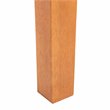 Safavieh Marson Contemporary Eucalyptus Wood Outdoor Dining Table in Natural