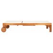 Safavieh Ralden Eucalyptus Wood/Polyester Outdoor Sun Lounger in Natural/Beige