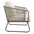 Safavieh Benjin 4-Piece Rattan/Polyester Outdoor Living Set in Gray/Beige