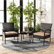 Safavieh Moore 3-Piece Rattan/Steel/Polyester Lounge Set in Black/Beige