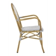Safavieh Rosen Wicker / Rattan Outdoor Arm Chairs in Gray and White (Set of 2)