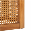 Danez Hexagon Elm Wood and Rattan/Wicker Accent Table in Natural