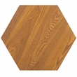 Danez Hexagon Elm Wood and Rattan/Wicker Accent Table in Natural