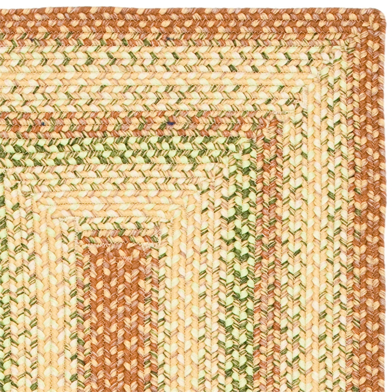 Safavieh Braided 2'-3