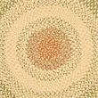 Safavieh Braided 3'-0