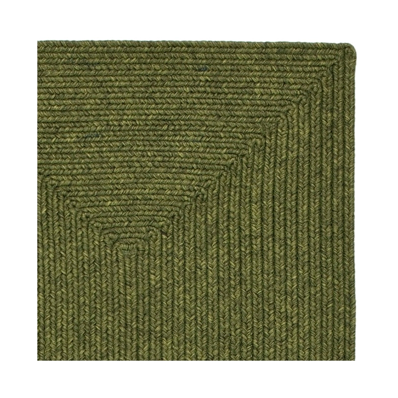 Safavieh Braided  2'-3