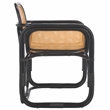 Safavieh Nadie Rattan Accent Chair in Black/Natural