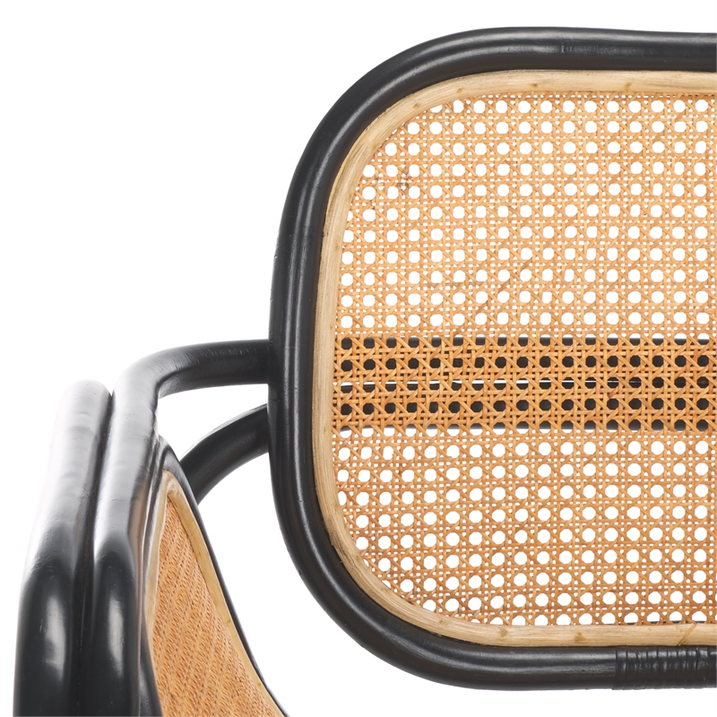Safavieh Nadie Rattan Accent Chair in Black/Natural
