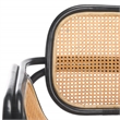 Safavieh Nadie Rattan Accent Chair in Black/Natural
