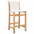 Safavieh Arian Teak and Leather Counter Stool in White / Natural