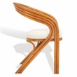 Safavieh Jennabrook Ratan Polyurethane Dining Chair in Natural / White