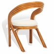 Safavieh Jennabrook Ratan Polyurethane Dining Chair in Natural / White