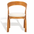 Safavieh Jennabrook Ratan Polyurethane Dining Chair in Natural / White